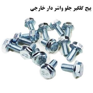 پیچ گلگیر جلو چینی (200 عدد)