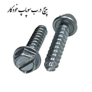 پیچ درب سوپاپ خودکار (250 عدد)