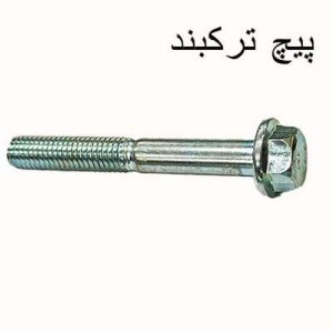 پیچ ترکبند واشردار (100 عددی)