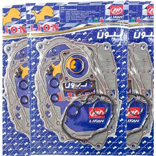 واشربندی کامل لیون LION